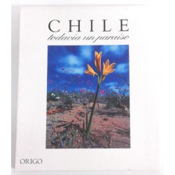 CHILE, TODAVÍA UN PARAÍSO