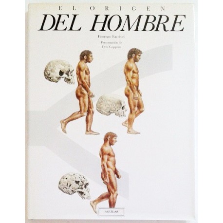 EL ORIGEN DEL HOMBRE