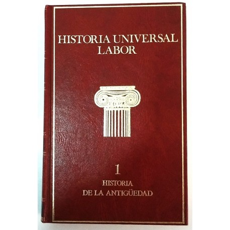 HISTORIA UNIVERSAL LABOR